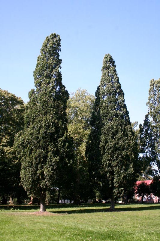 Killikus&reg; Fotographie